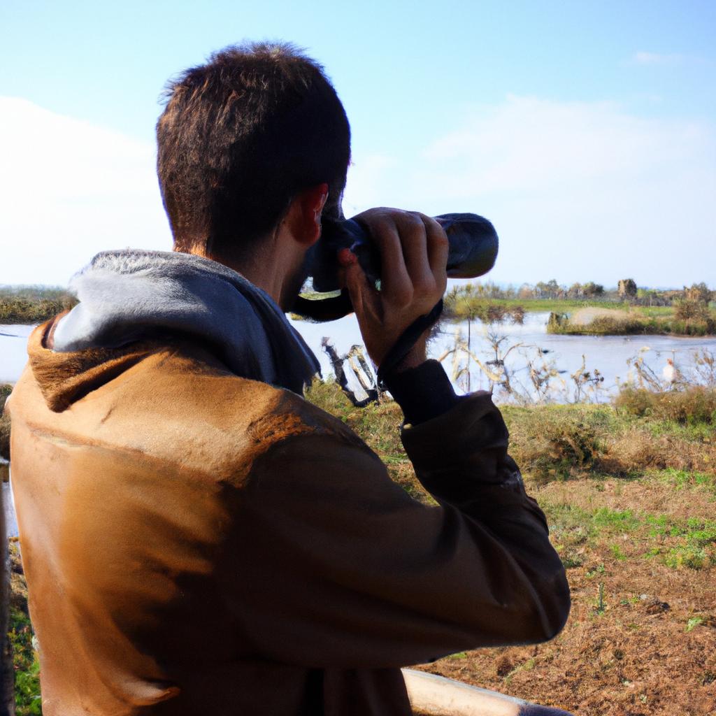 Person observing birds with camera