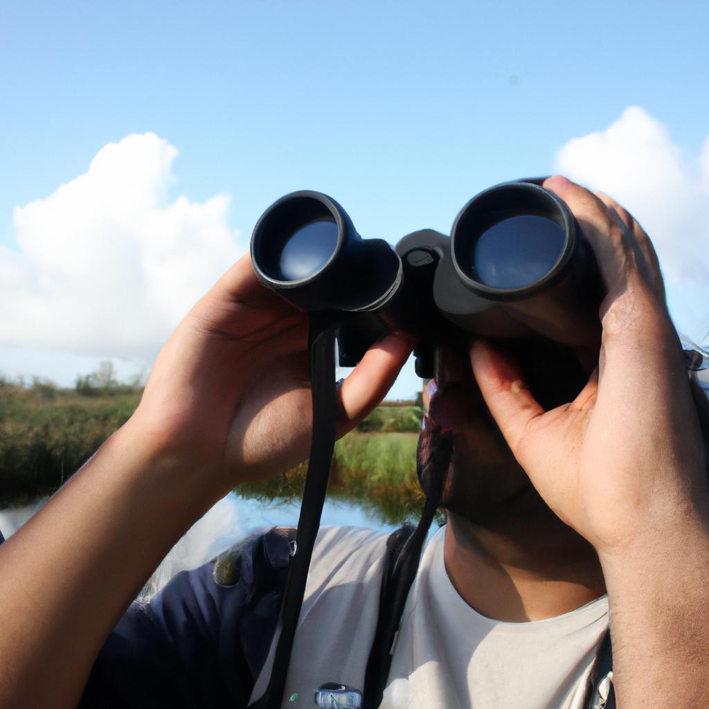 Person holding binoculars, observing birds