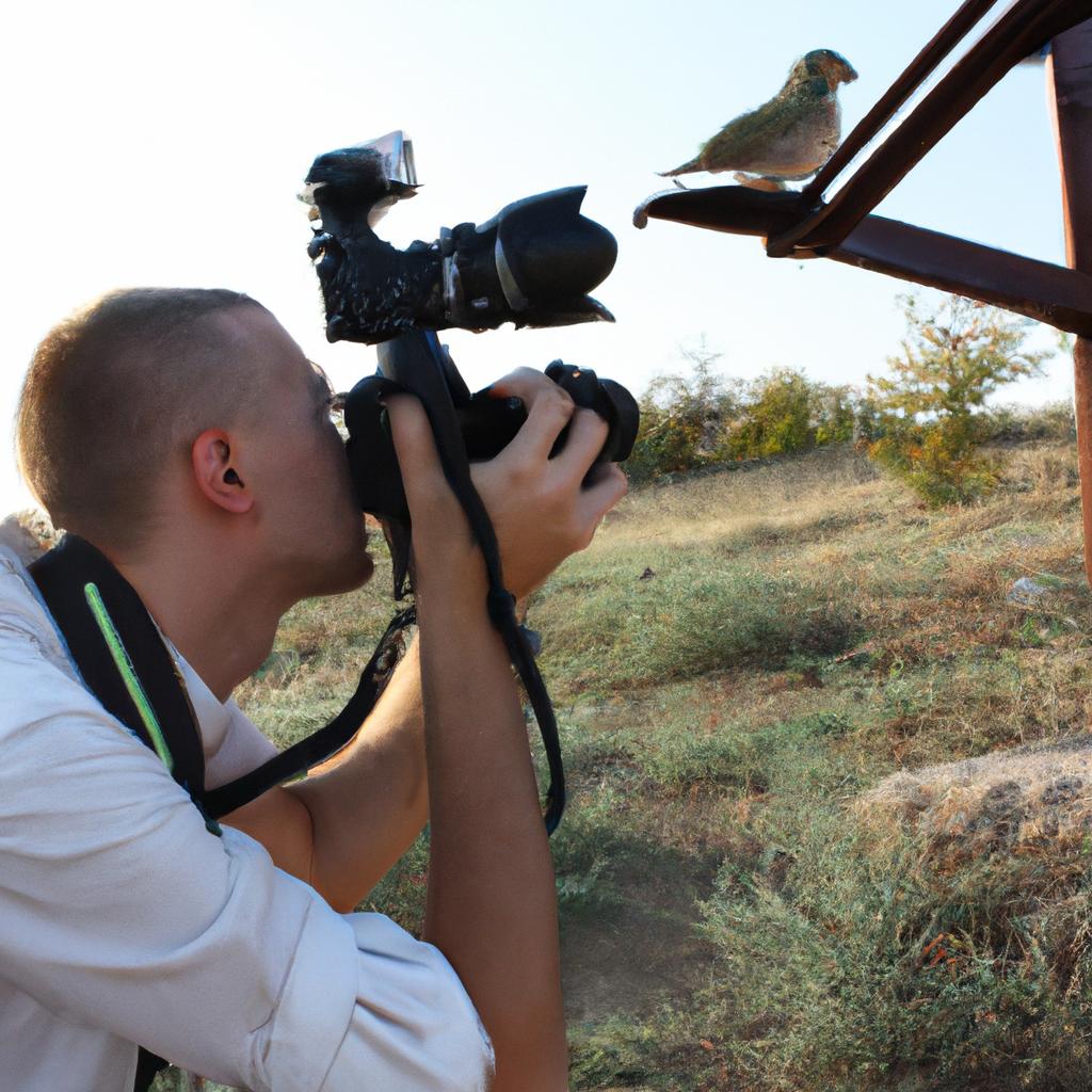 Photographer capturing bird courtship