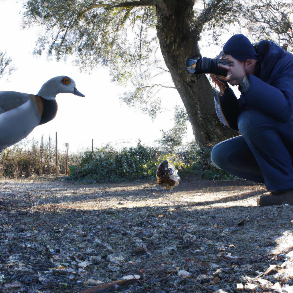 Person photographing birds in nature