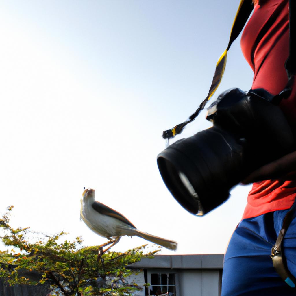 Person holding camera, bird nearby