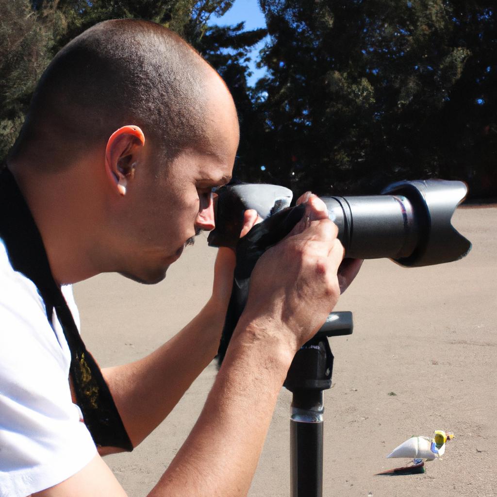 Person photographing birds responsibly