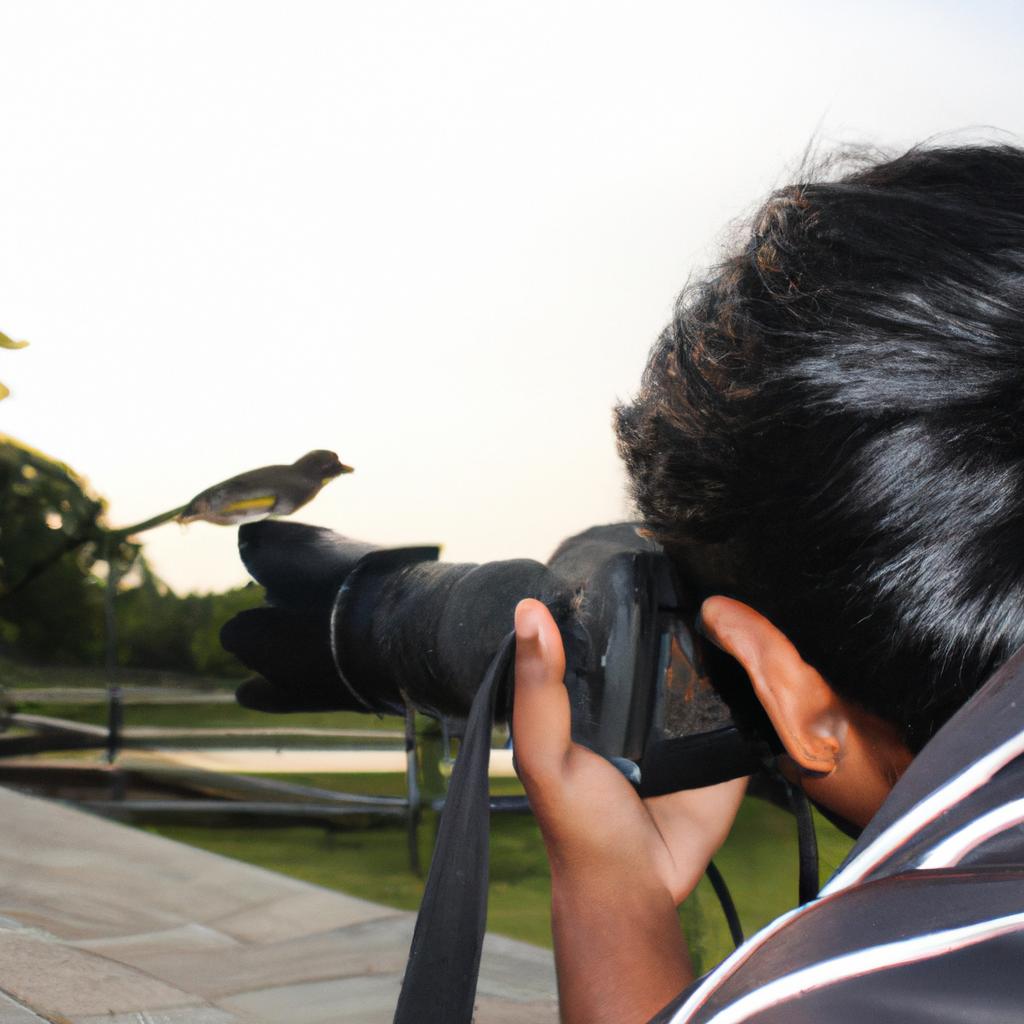 Person holding camera, capturing bird