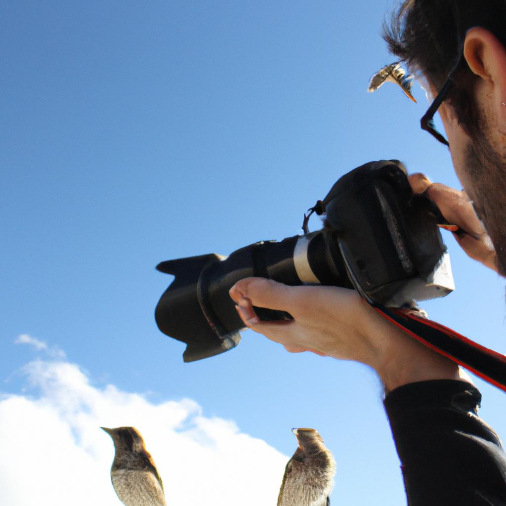 Person holding camera, photographing birds